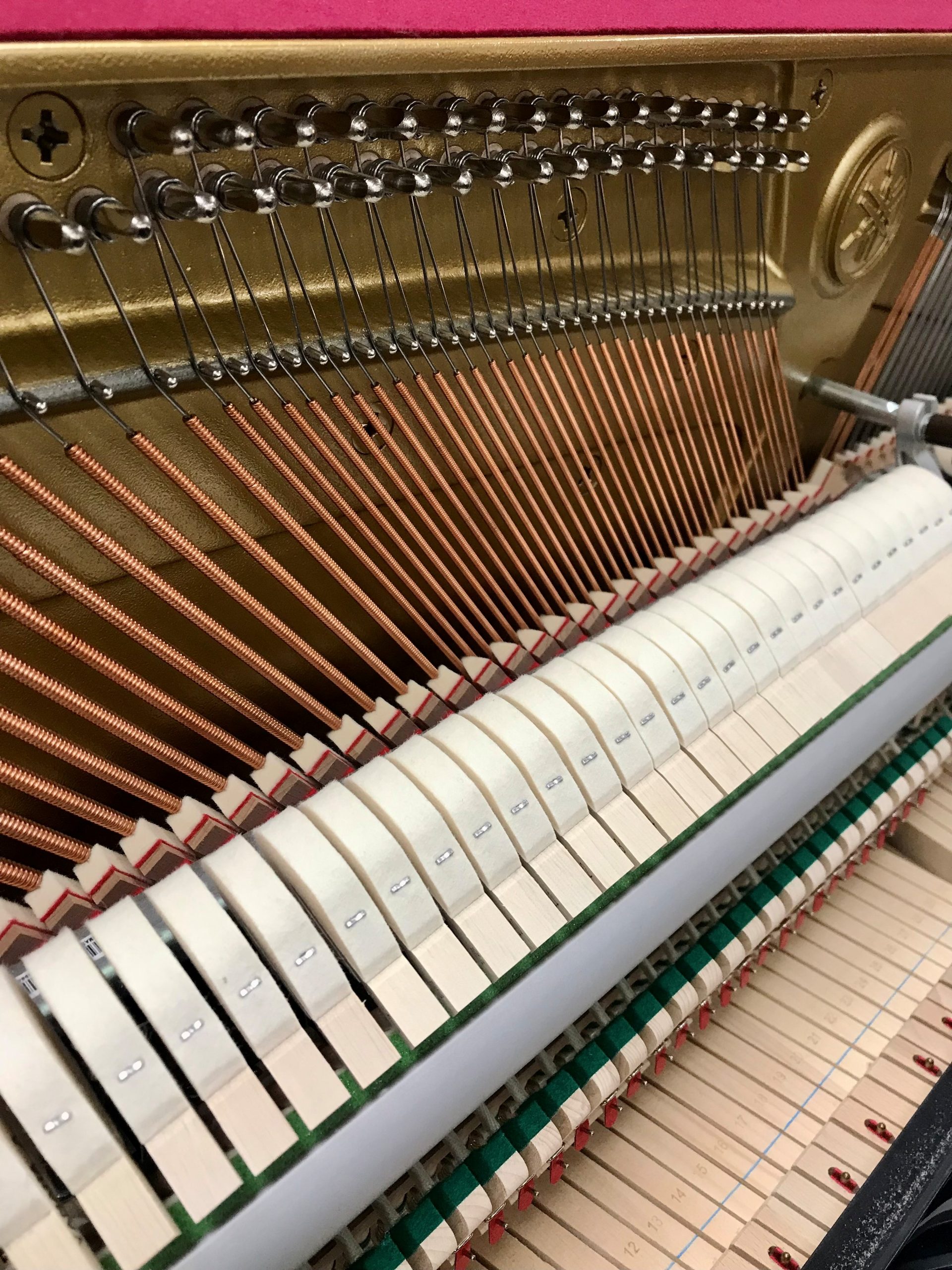 Yamaha B2 PE Silent view