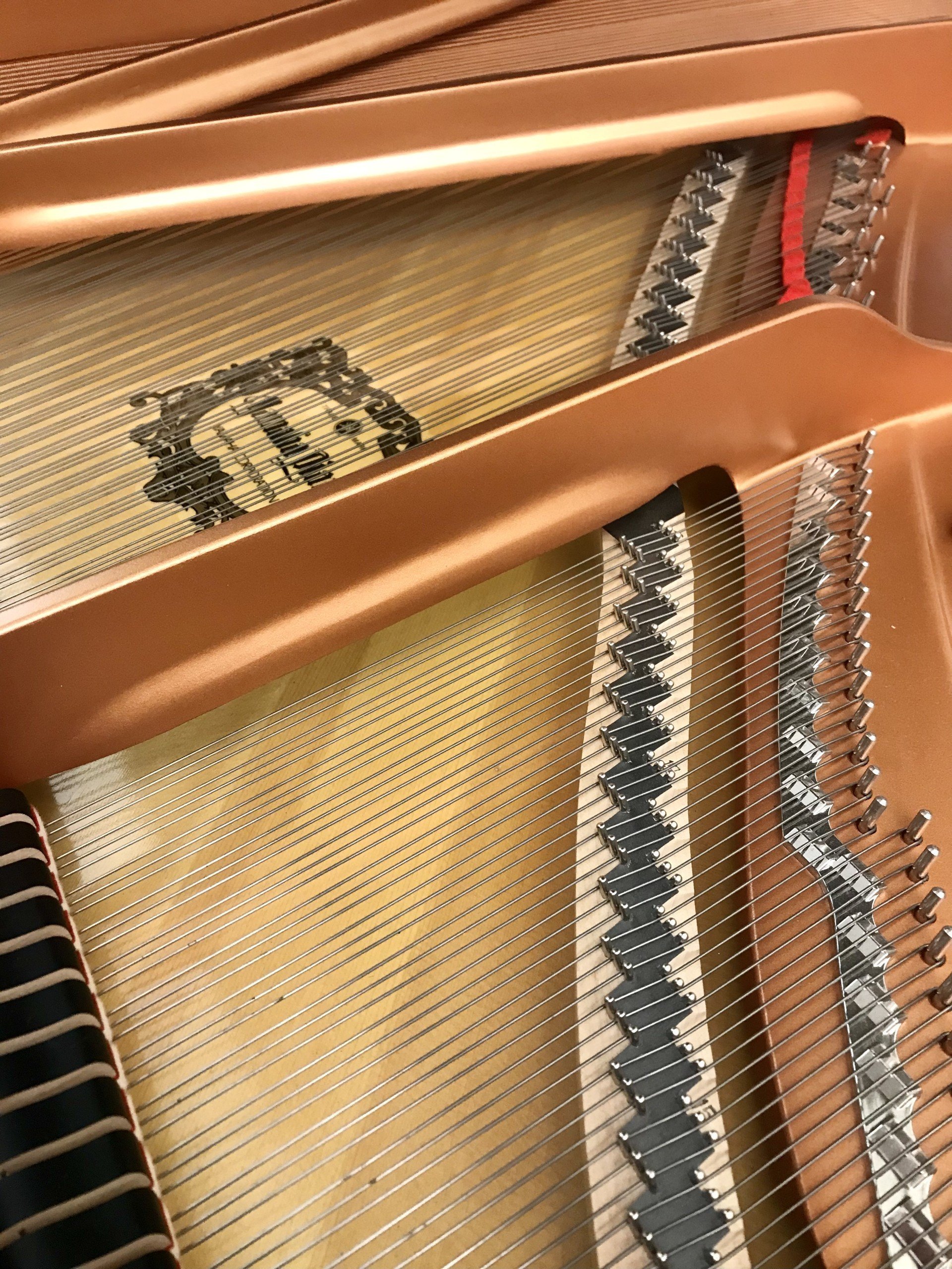 Yamaha C1L Silent view