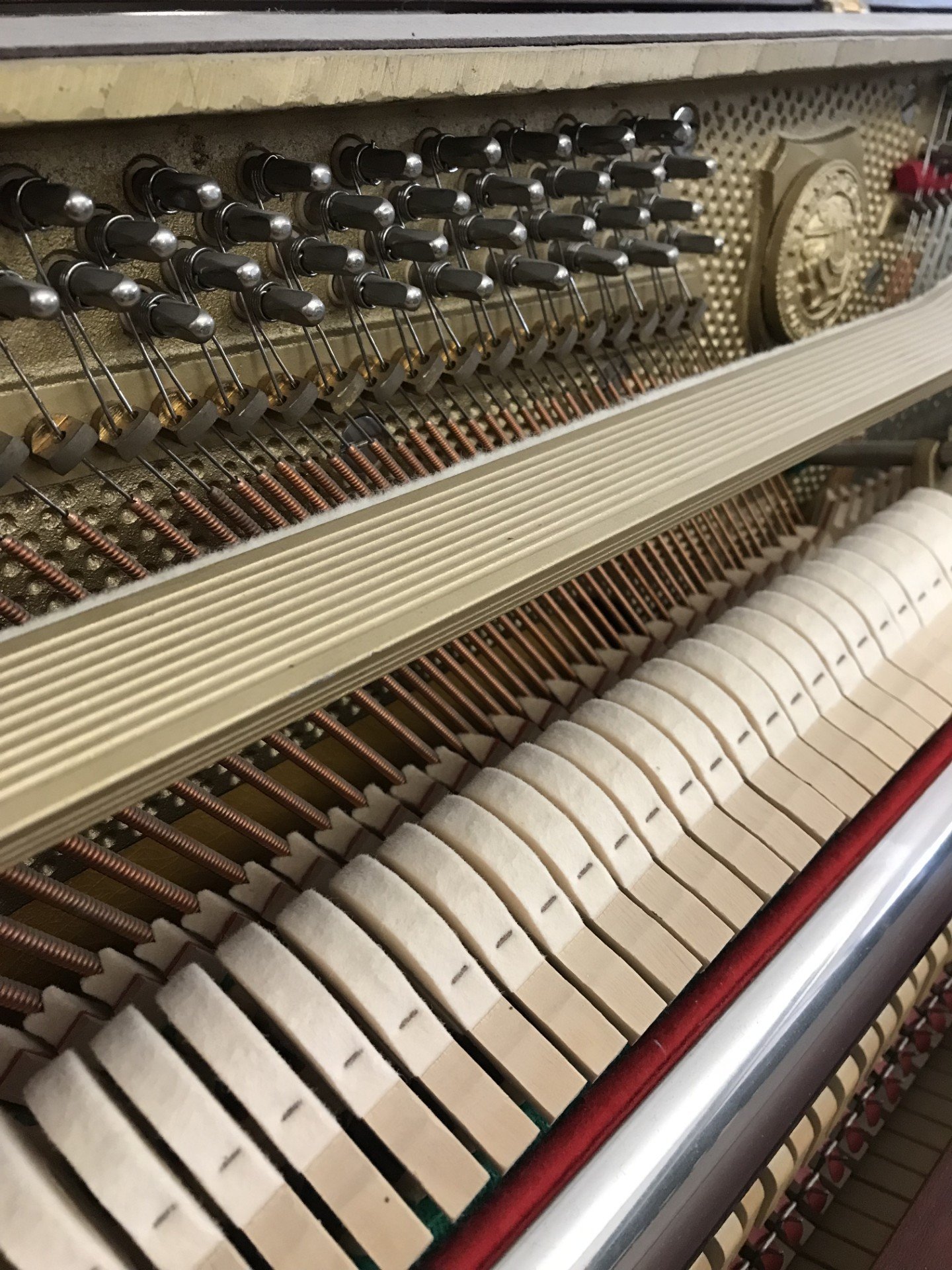 Rieger Kloss 106 view