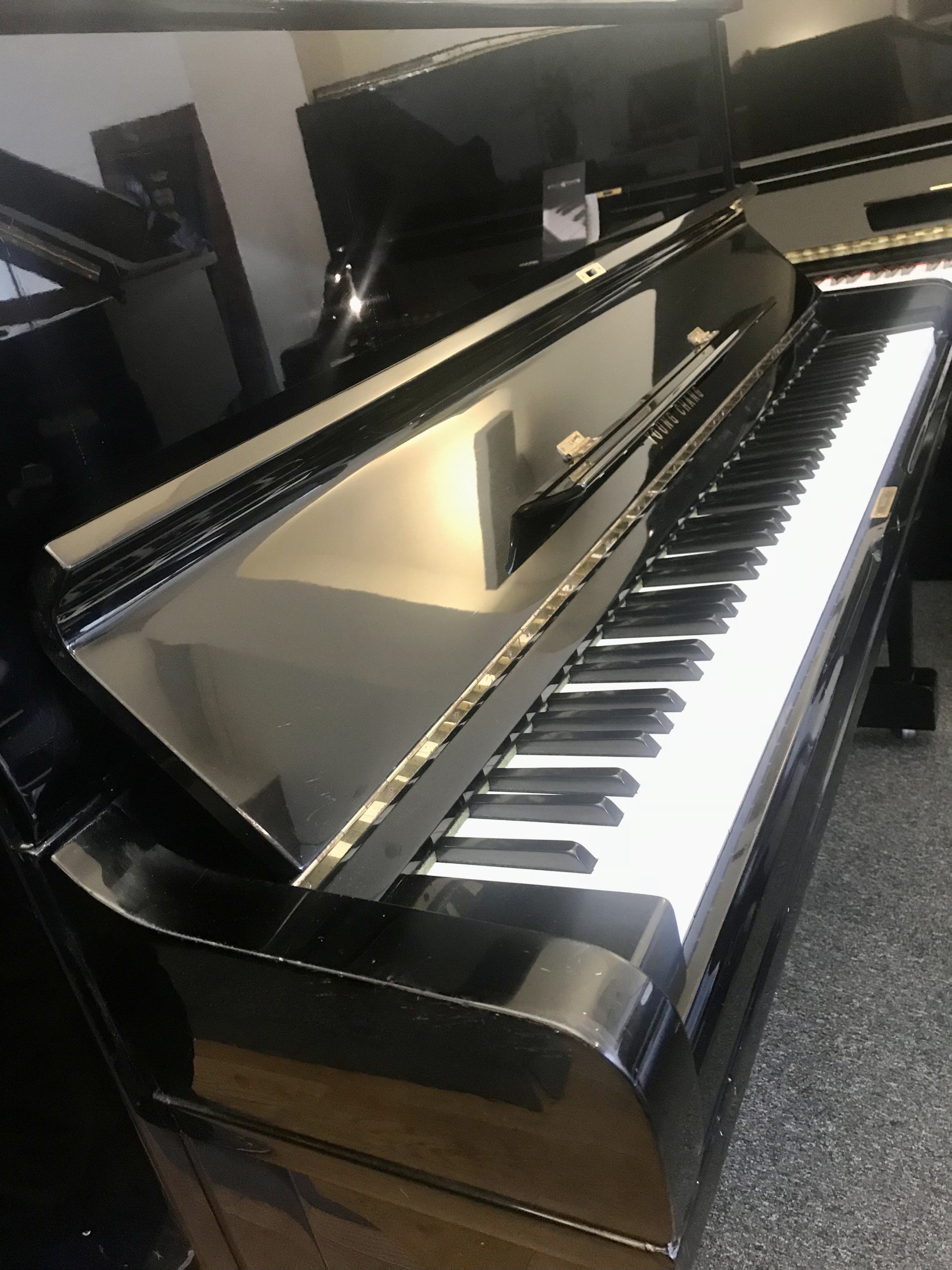 Young Chang U121 view