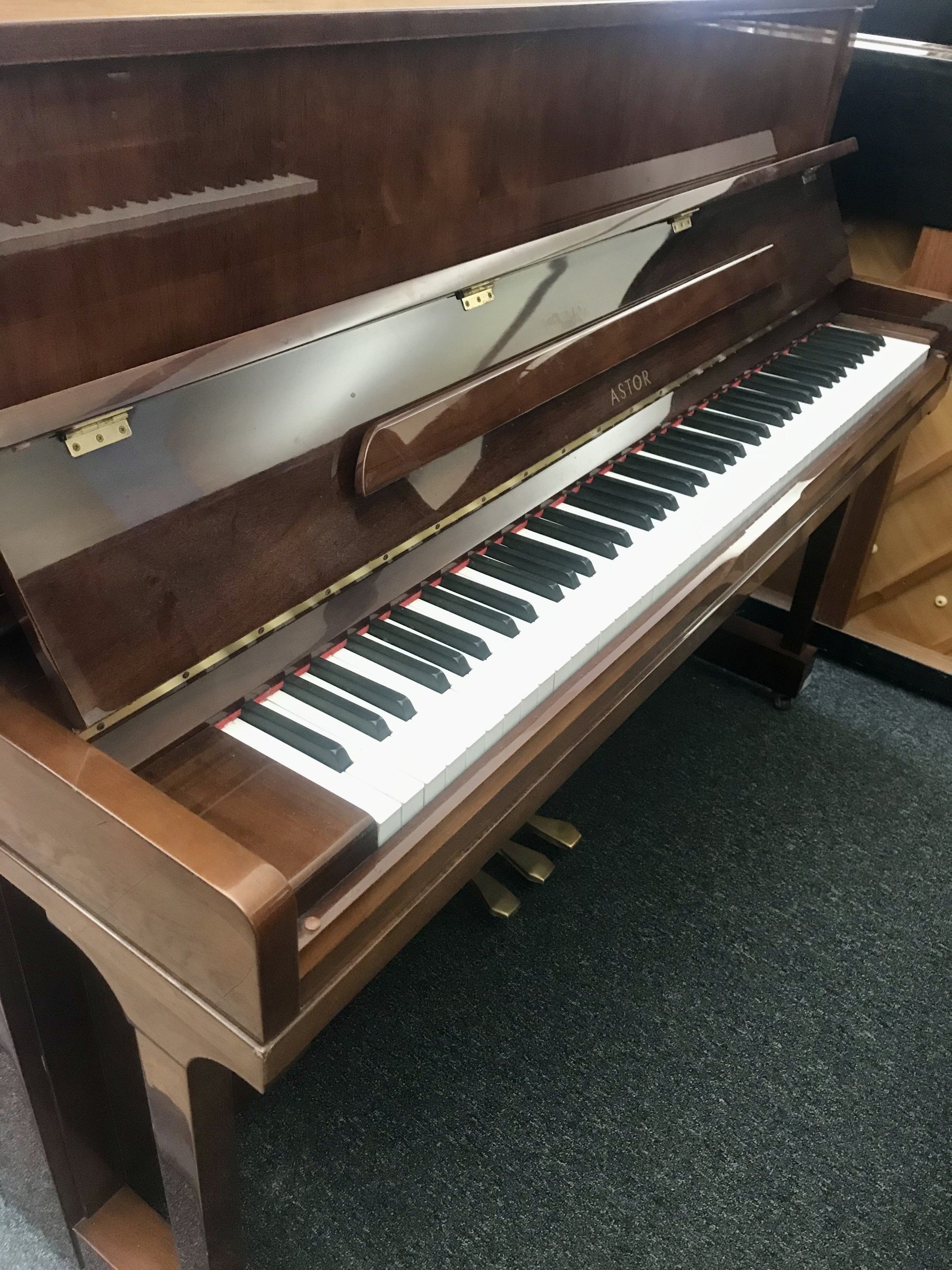 Astor P-15 view