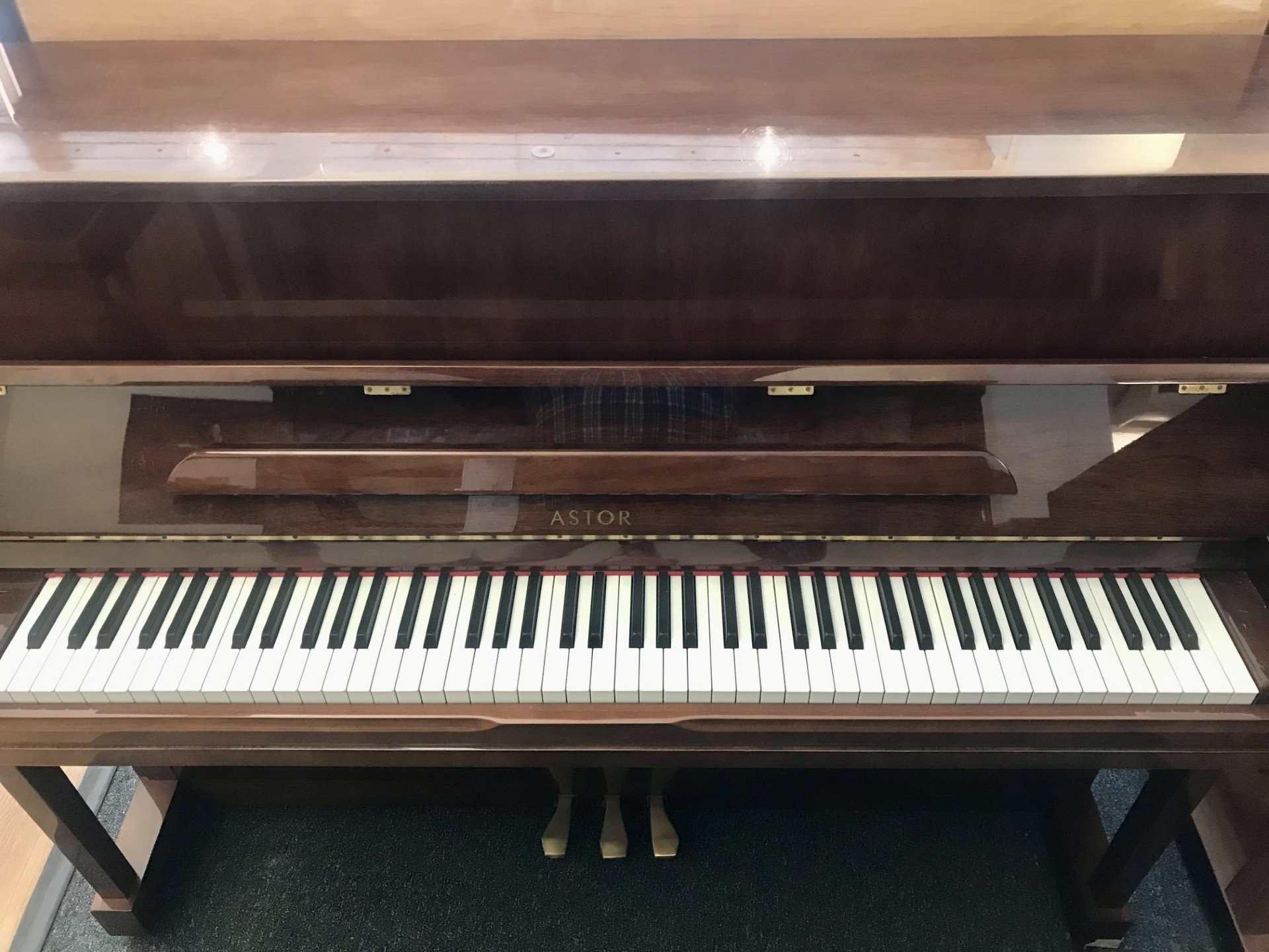 Astor P-15