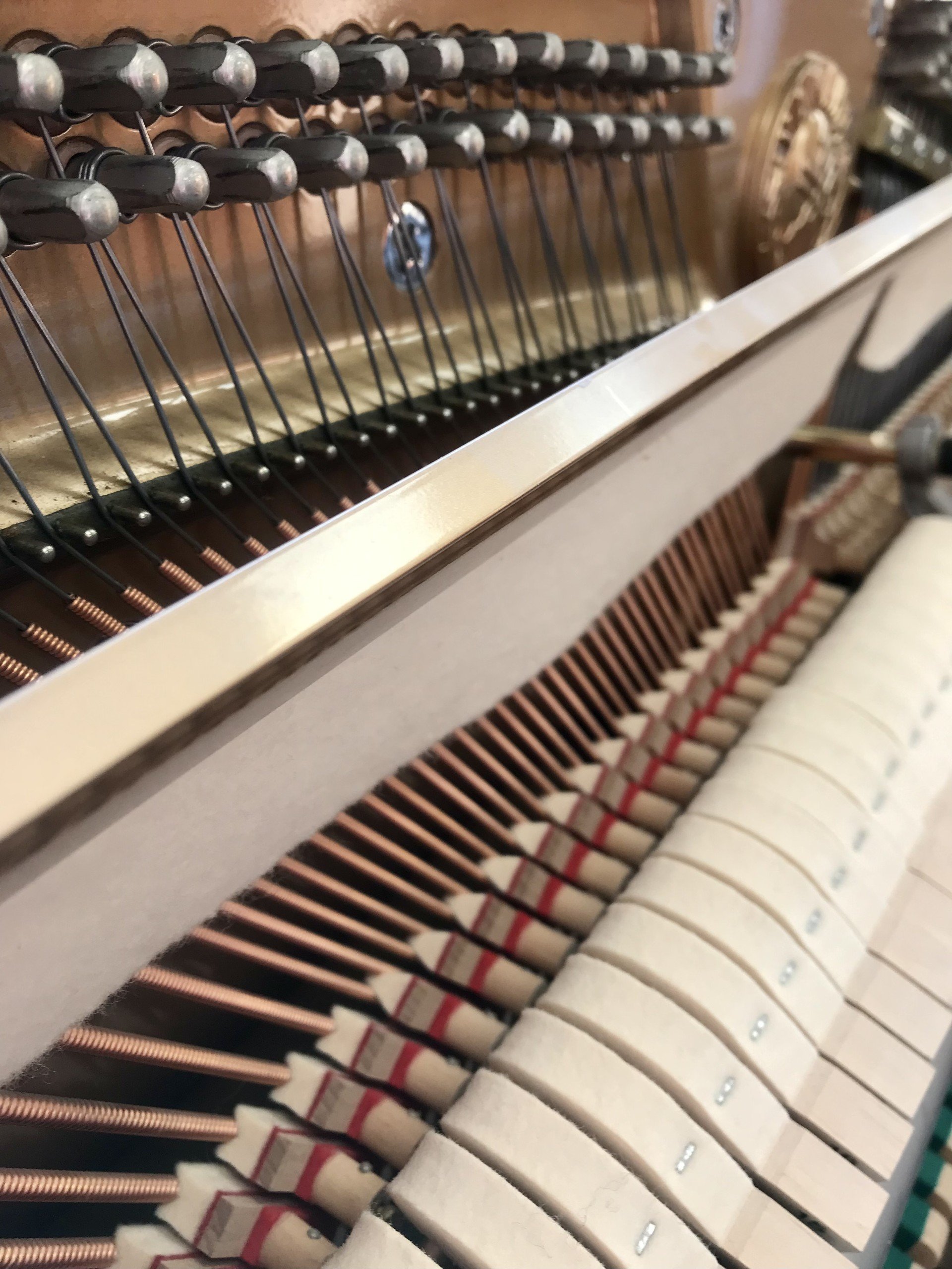 Yamaha C110A view