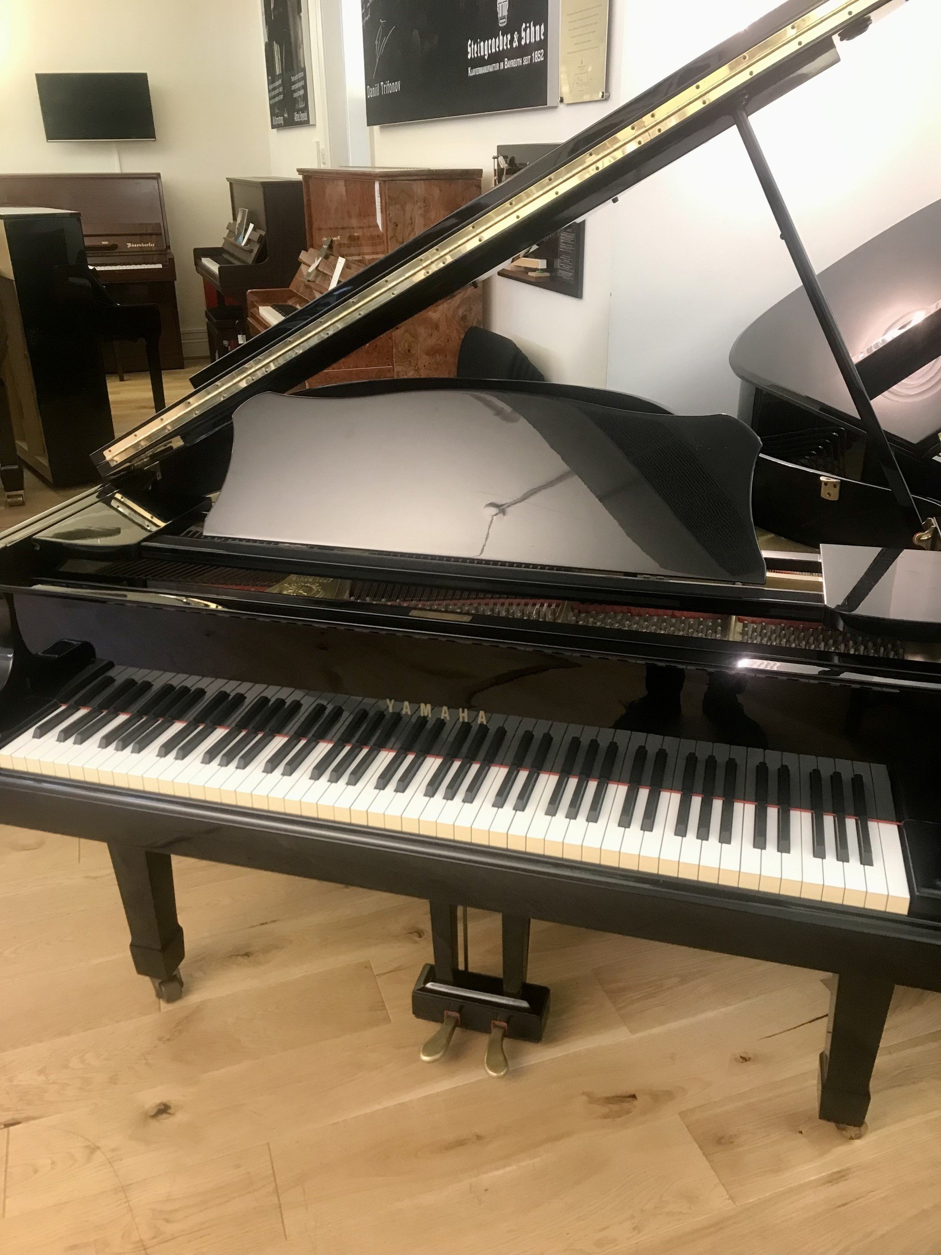 Yamaha G1 view