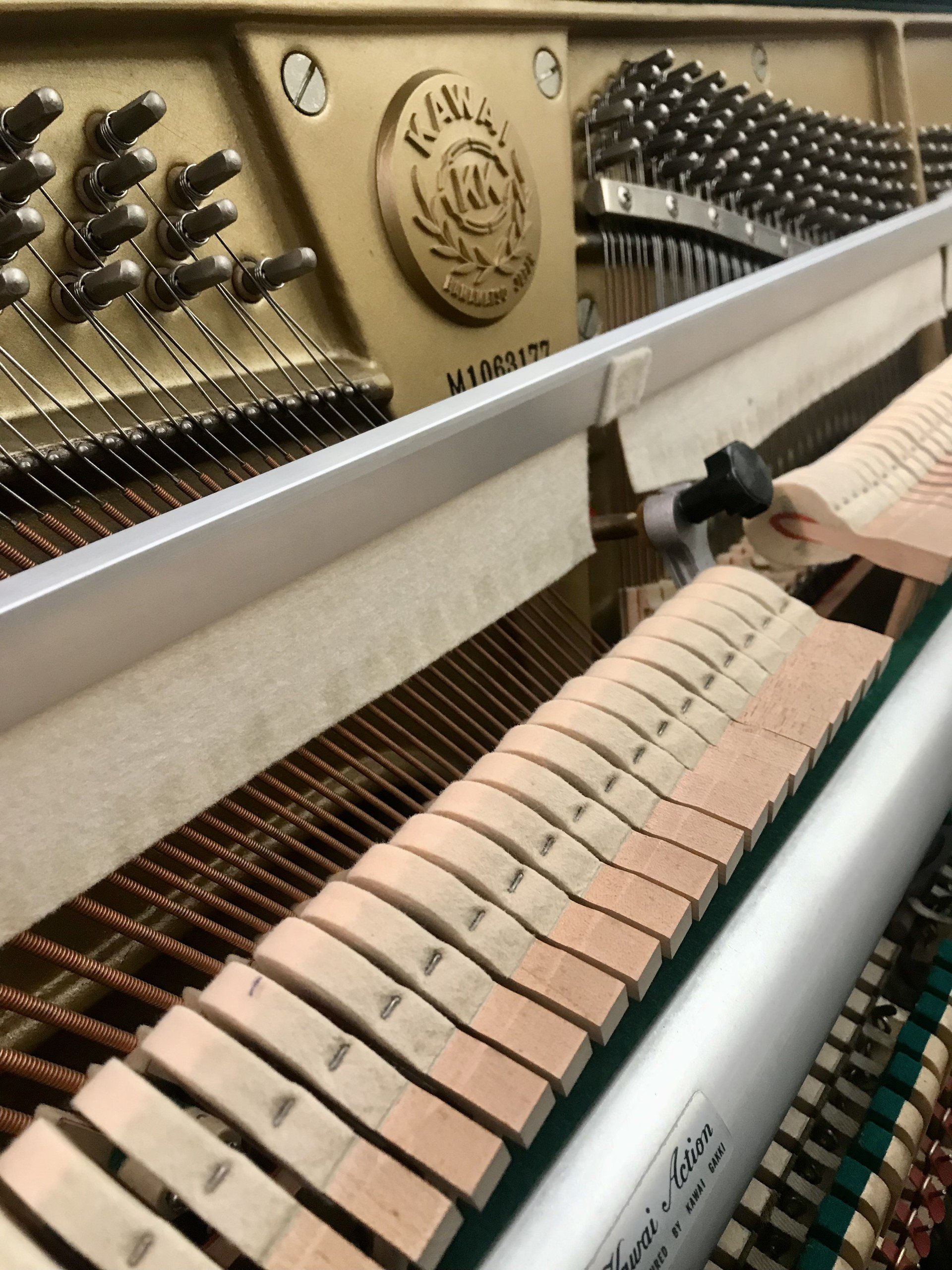 Kawai TP125 view