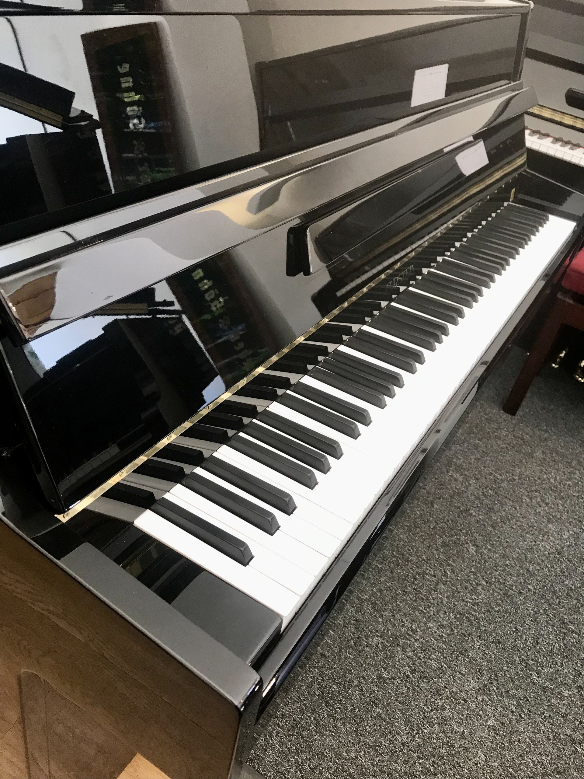 Furstein TP105