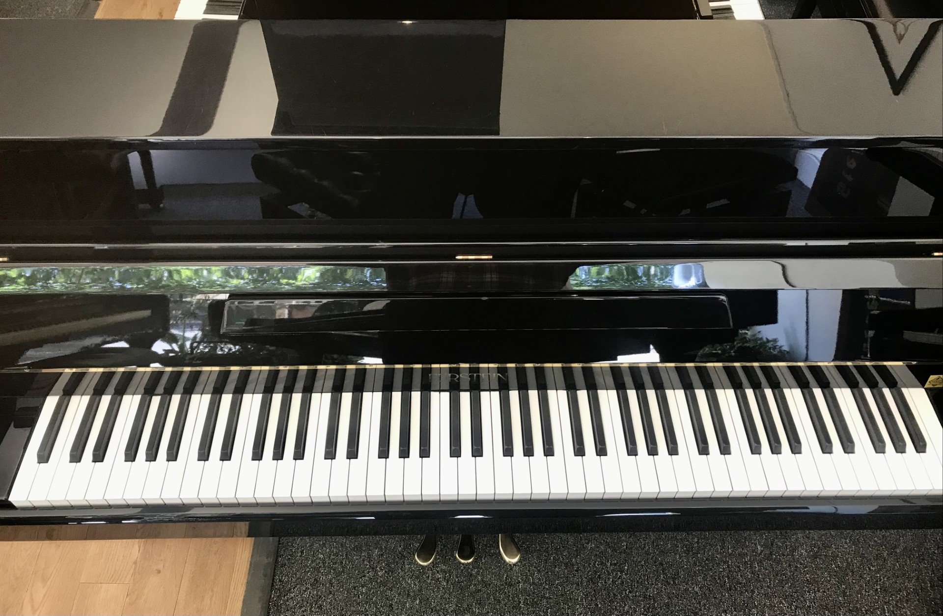 Furstein TP105 view